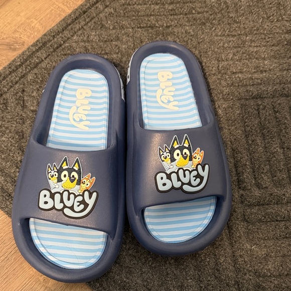 Ground Up Other - Bluey slides
